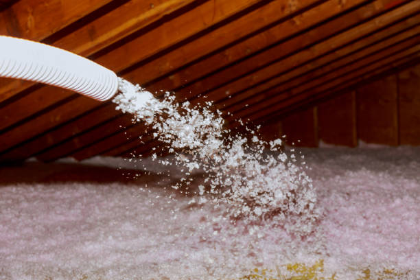 Best Cellulose Insulation in Oak Hill, FL