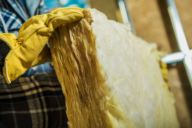 Best Specialized Insulation Services in Oak Hill, FL