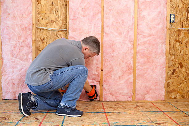 Best Insulation Maintenance and Repair in Oak Hill, FL