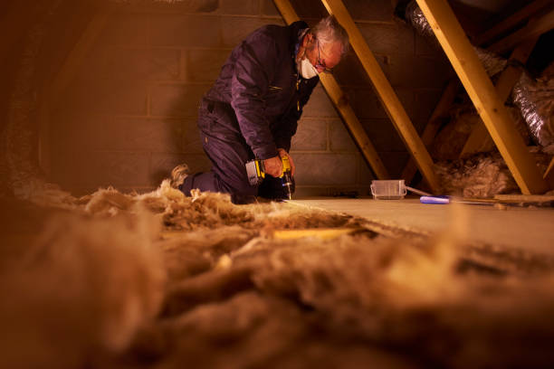 Best DIY Insulation Kits and Guidance in Oak Hill, FL